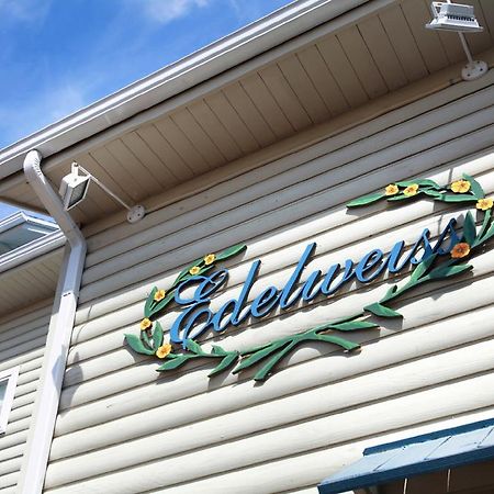 Pyeongchang Edelweiss Pension Экстерьер фото